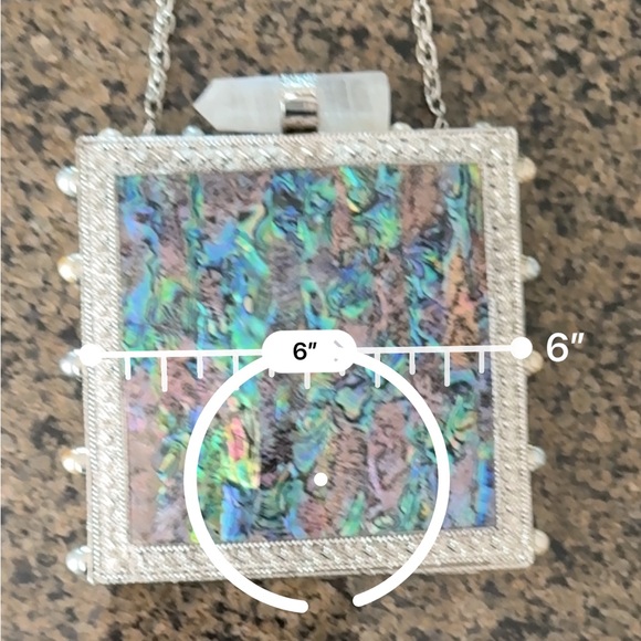 Iridescent Abalone Shell Clutch